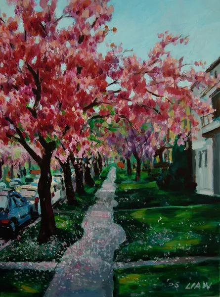 櫻花祭-Cherry blossom festival