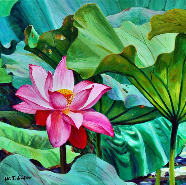 盛夏荷花-Lotus in summer