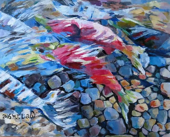 鮭魚洄游-Return of the salmon