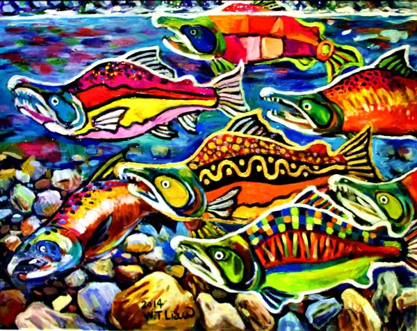 鮭魚洄游-Salmon runs